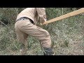 川辺から畑に侵入するイノシシを止め刺す
