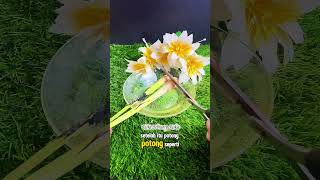 musim hujan banyak nyamuk coba cara ini . #tips #tipsandtricks #tutorial