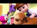 Kongsuni and friends  pet for a day  kids cartoon  toy play  kids movies