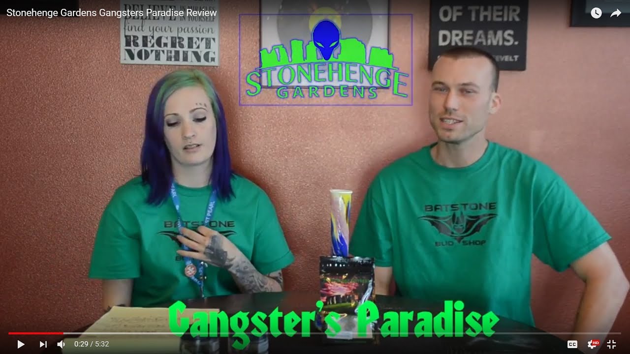 Stonehenge Gardens Gangsters Paradise Review