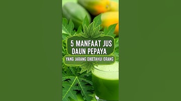 5 Manfaat Jus Daun Pepaya Yang Jarang Diketahui Orang