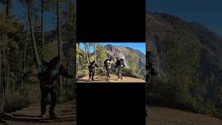 sukoon! #phirseudchala #ranbirkapoor #travel #shortvideo #viral #imtiazali #bollywood #tamasha #move