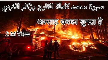 Surah Muhammad | سورة محمد كاملة القارئ رزكار الكردي | Mansoori Wide