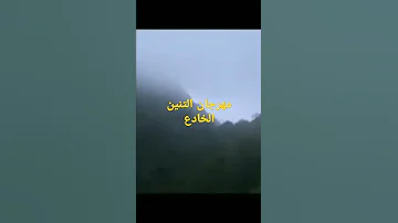 مهرجان التنين الذهبي 