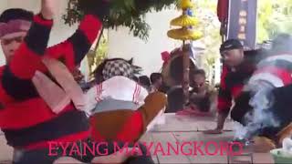 Story wa eyang mayangkoro