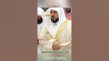 تلاوة خاشعة 🕊 سورة الروم 🌿  الشيخ أ.د ماهر بن حمد المعيقلي