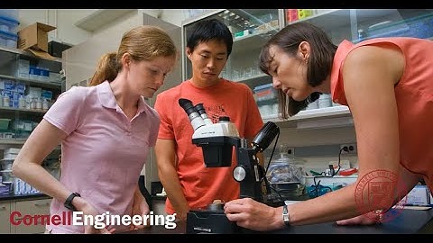 Cornell Engineering Information Session Part 3: Engineering Faculty