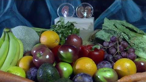 Discovery Channel Daily Planet