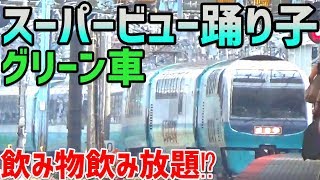 30)スーパービュー踊り子二階席グリーン車で飲み物を飲みまくる⁉【東京休暇・横浜〜伊豆急下田】