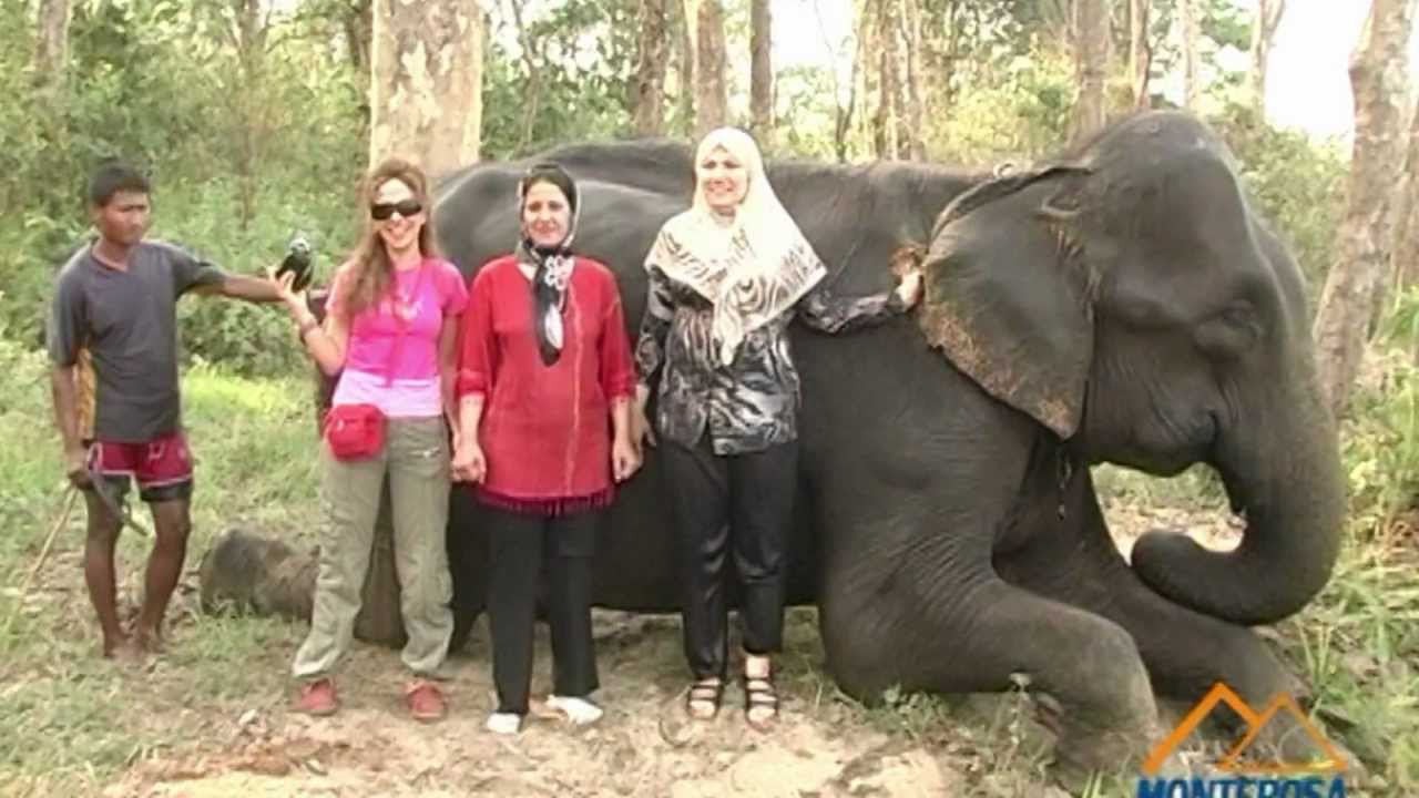 Nepal Jungle Safari tour 2022 | White water River Rafting