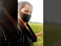 #village #vlog #views#sort