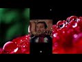 صور متحركه في شات يلا لودو صور متحركه في شات يلا لودو