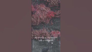 Thumbnail of Sleep Token - Look to Windward vocal cover WIP!