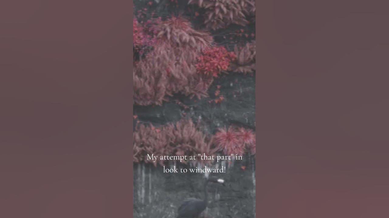 Sleep Token - Look to Windward vocal cover WIP!