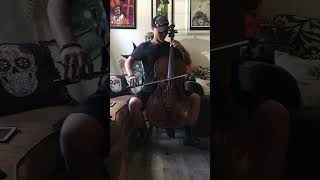 Mad World (Gary Jules) Cello Cover