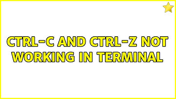 Ctrl-C and Ctrl-Z not working in terminal (4 Solutions!!)