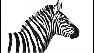 Drawing Zebra Step By Step - Inspired By Art.simple. Mady Arts