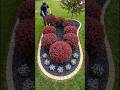 DIY Teardrop Garden Border: The Ultimate Tree Makeover