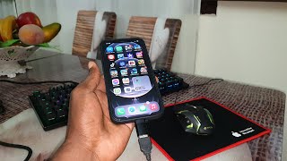 How to connect Gaming Keyboard and mouse to Apple iPhone 12 Pro Max in the same time screenshot 4