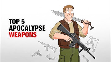 Top 5 Weapons You Actually Need in the Apocalypse #falloutraccoon