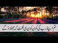 Watch Meri Pehchan - 19th March 2018 - ARY Qtv Online In HD