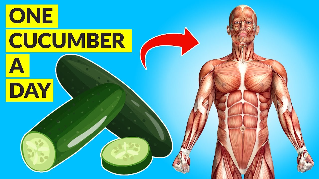 Eat One Cucumber A Day And See What Happens YouTube Eat One Cucumber A Day And See What Happens YouTube