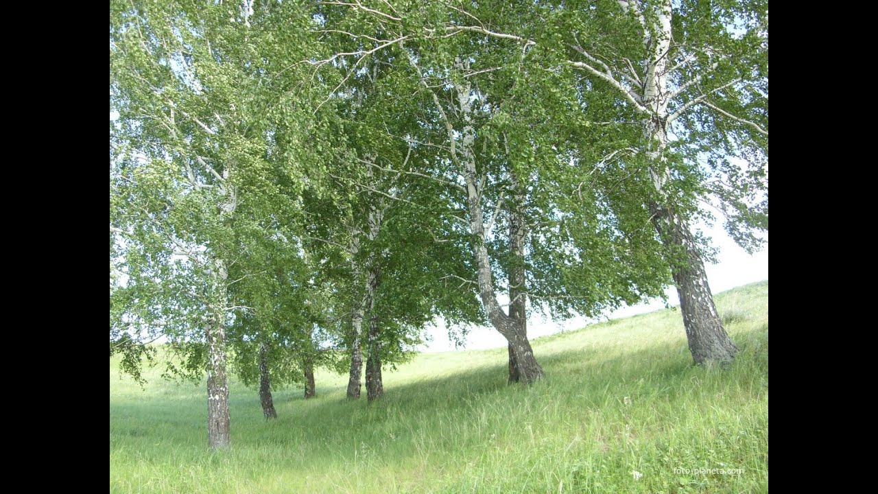 Казанский Район Фото