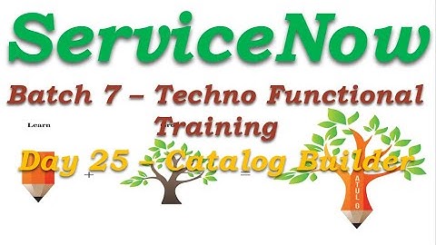 Batch 7 || Day 25 || Catalog Builder & Flow Designer||Techno Functional Training || San Diego