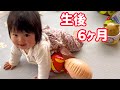 楽しい