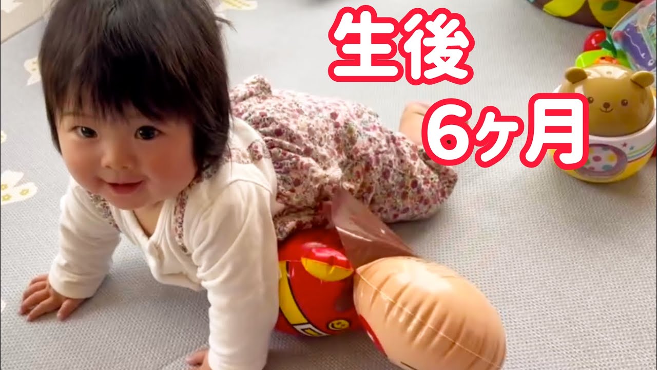 楽しい