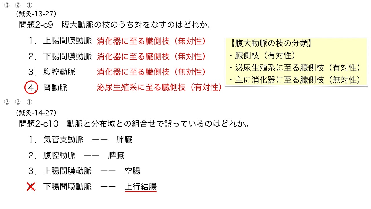 無 対 の 静脈 は どれ か