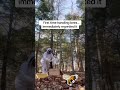 🐝 FIRST DAY BEEKEEPING… AND I’M FREAKING OUT 😳 #beekeeping #newbeekeeper