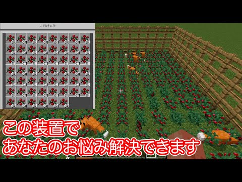 食料&骨粉不足解消！スイートベリー自動回収機【マイクラ統合版】