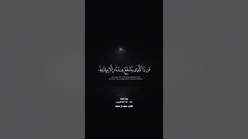 آية الكرسي سورة البقرة للقارئ الشيخ سعود آل جمعة