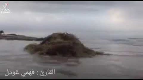 تلاوه جميله من سورة القمر بصوت القارئ فهمي غودل ابوسليمان