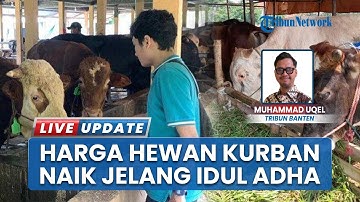 Jelang Idul Adha Harga Hewan Kurban Naik 10 Persen di Cilegon Banten, Pedagang Mulai Menjamur