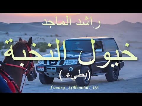 خيول النخبة راشد الماجد بطيء