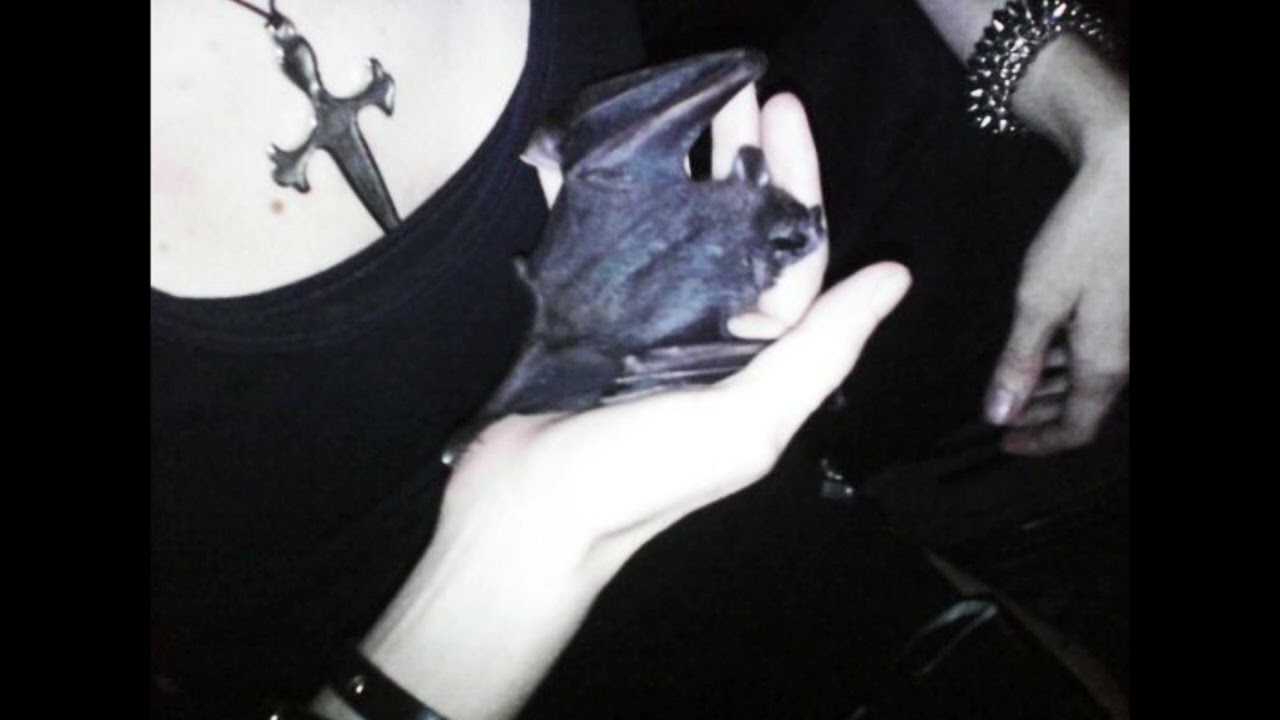 𝐈𝐜𝐲𝐭𝐰𝐚𝐭 𝐟𝐞𝐚𝐭. 𝐋𝐢𝐥 𝐔𝐳𝐢 𝐕𝐞𝐫𝐭 𝐭𝐲𝐩𝐞 𝐛𝐞𝐚𝐭 ✧𝐓𝐫𝐚𝐯𝐞𝐬𝐭𝐲✧ 〖𝐩𝐫𝐨𝐝. 𝐬𝐞𝐥𝐞𝐜𝐭〗