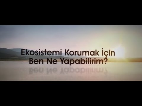 Ekosistemi Korumak için Ben Ne Yapmalıyım? #TURMEPAEvimizde