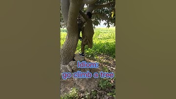 #shorts #english #idioms | Innovative way to learn idioms | How to learn idioms | All grades | CSS