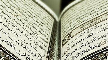 ومن آياته ان خلق لكم من أنفسكم ازواجاً لتسكنوا إليها/ سعد الغامدي تلاوة خاشعة