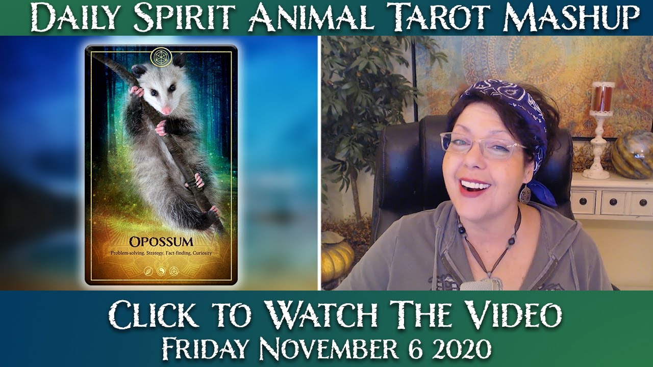 Pick a Card Daily Tarot Reading - Fri. Nov. 06, 2020 - OPOSSUM SPIRIT ANIMAL  - YouTube