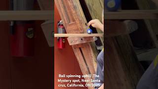 Ball spinning uphill ,The Mystery spot, Near Santa cruz, California, 09/2025