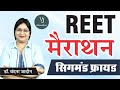 Reet 2022 education psychology  sigmund freud  shiksha manovigyan by dr vandana jadon