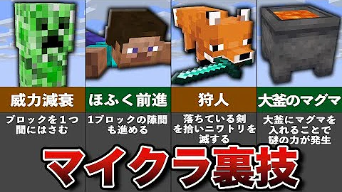 マイクラ簡単にできる裏技