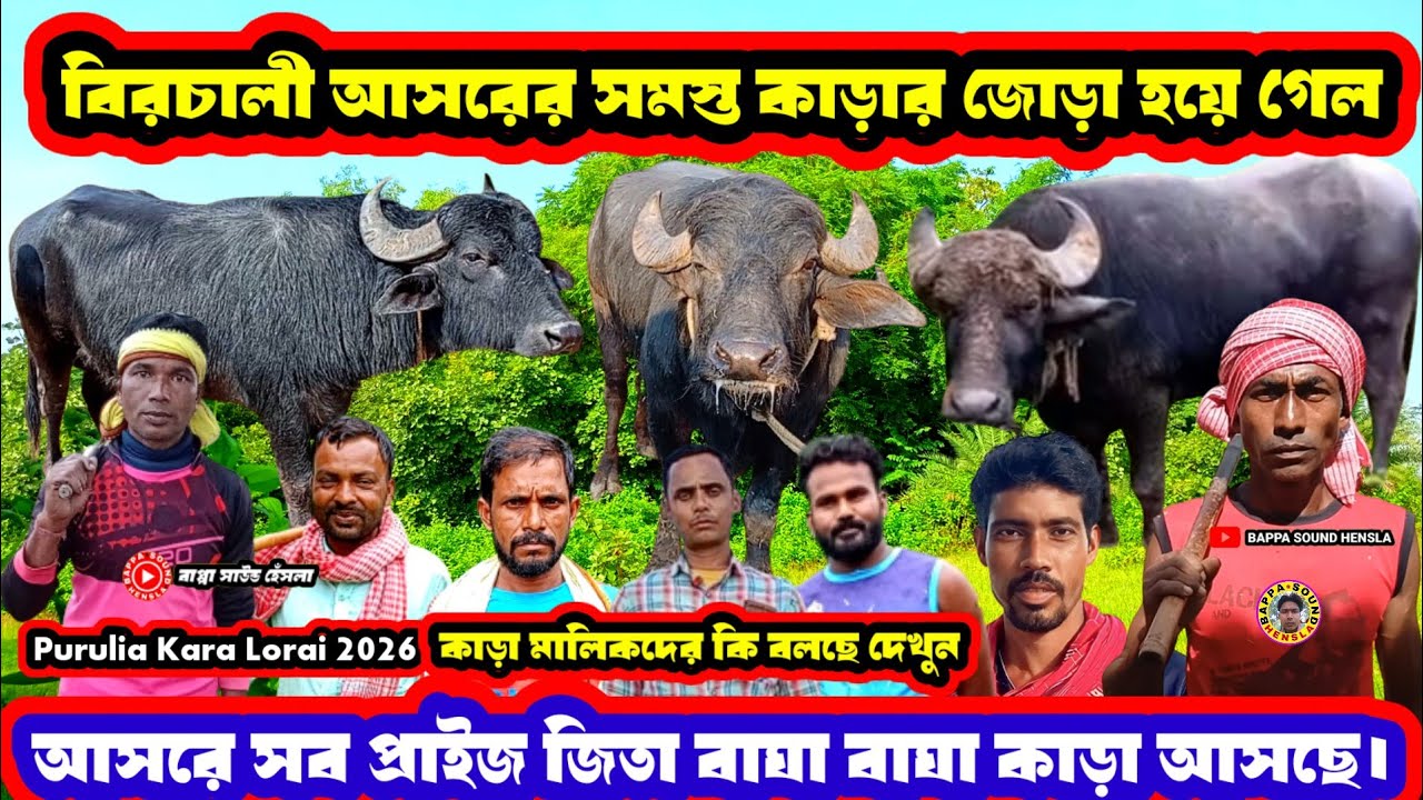 বিরচালী আসরের সমস্ত কাড়ার জোড়া হয়ে গেল♨️আসরে সব প্রাইজ জিতা বাঘা বাঘা কাড়া আসছে।