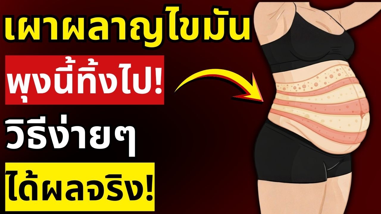 วิทยาศาสตร์พิสูจน์! วิธีเผาผลาญไขมันเร็วที่สุด ได้ผลจริง | สุขภาพผู้สูงอายุ