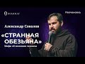 Александр Соколов приглашает в Полимат-лекториум