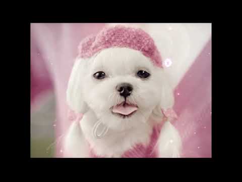 CF SK '신민아'   TV CF 15's  CF LOVE