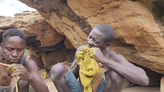 The Hadzabe tribe and scenes of hunting wild animals.